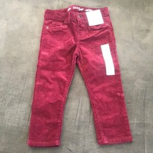 Corduroy pants